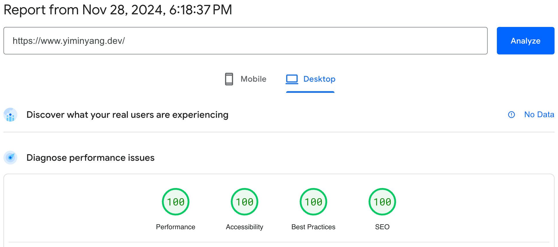 Google PageSpeed Insights dashboard showing perfect 100 performance score